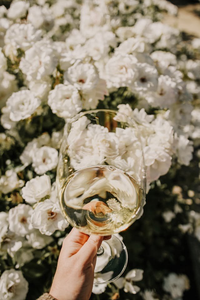 Best Wineries on the East Coast: Discover the Finest Vineyards for Wine Tasting